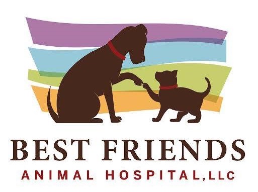 Meet Our Veterinary Team – Best Friends Animal Hospital