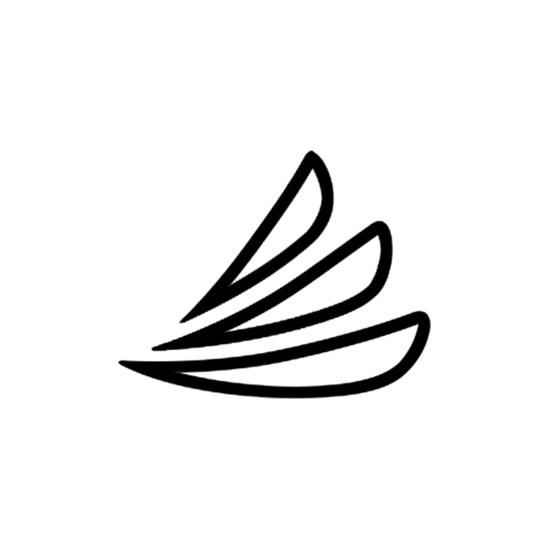 CareCredit Icon
